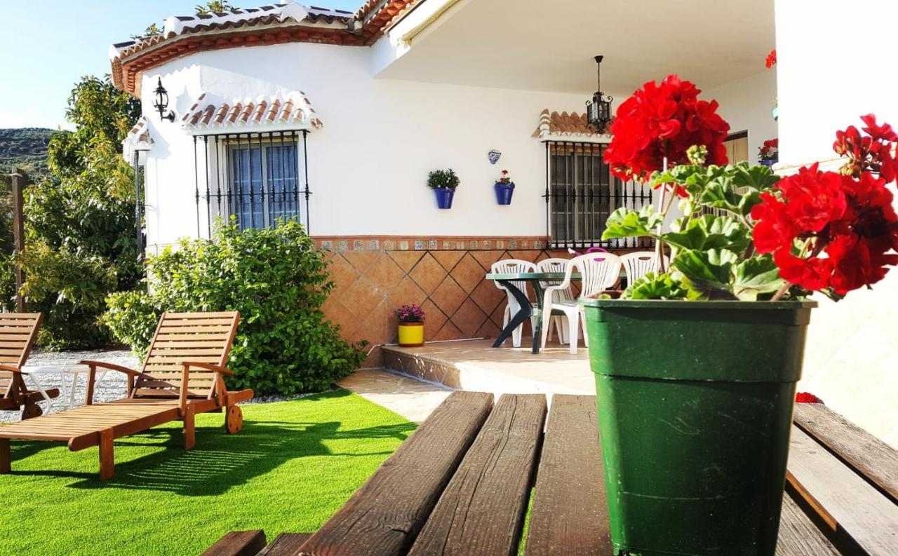 Los Naranjos Alcaucín エクステリア 写真